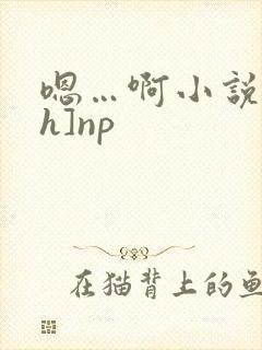 嗯…啊小说[高h]np