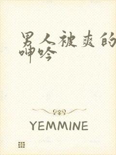 男人被爽的娇喘呻吟