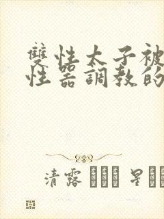 双性太子被各种性器调教的精彩小说封面