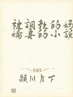 被调教的妈妈和娇妻的小说封面