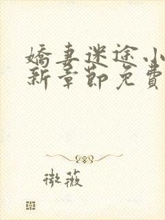 娇妻迷途小说最新章节免费阅读