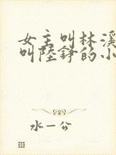 女主叫林溪男主叫陆铮的小说