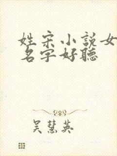 姓宋小说女主的名字好听
