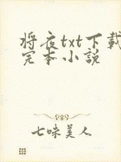 将夜txt下载完本小说
