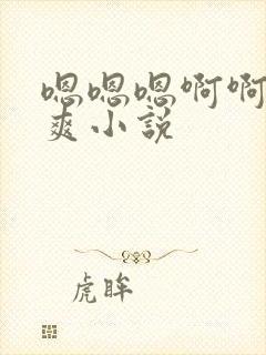 嗯嗯嗯啊啊啊好爽小说