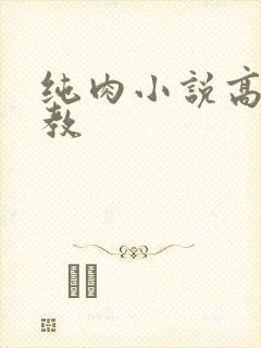 纯肉小说高h调教