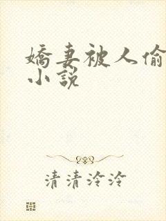 娇妻被人偷偷骑小说
