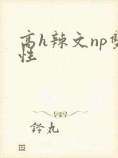 高h辣文np双性