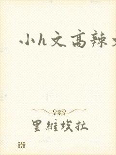 小h文高辣文