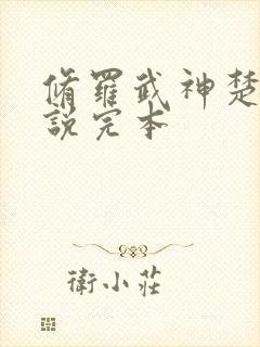 修罗武神楚枫小说完本