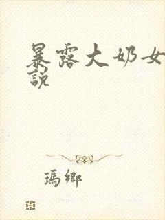 暴露大奶女友小说封面