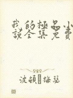 我的极品小姨小说全集免费阅读