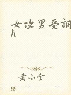 女攻男受调教文h