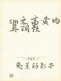 sm文高黄肉道具调教