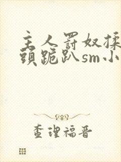 主人罚奴揉捏奶头跪趴sm小说