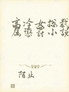 高冷女总裁被下属惩罚小说封面