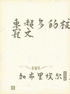 车超多的校园甜宠文