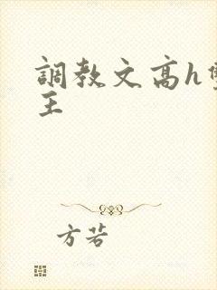 调教文高h双男主