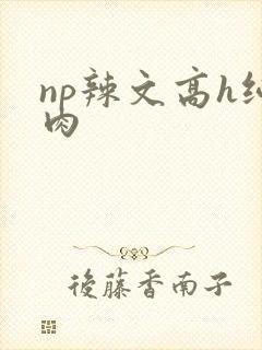 np辣文高h纯肉