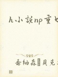 h小说np重口