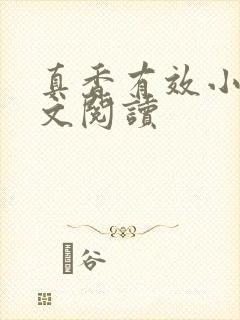 真香有效小说全文阅读封面