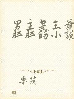 男主是王爷女主胖胖的小说