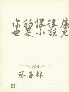 你的恨很廉价爱也是小说免费阅读