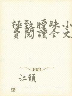 极致暧昧小说免费阅读全文小说主人公