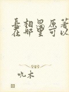 长相思原著小说在哪里可以看