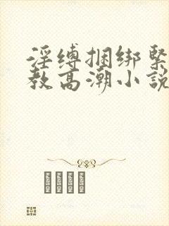 淫缚捆绑紧缚调教高潮小说封面