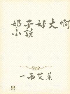 奶子好大啊嗯嗯小说