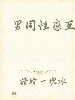 男同性恋互操封面