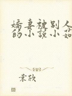 娇妻被别人强干的小说小茹