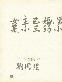 女主已婚,男主是小三的小说