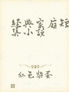 经典家庭短篇合集小说封面