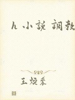 h 小说 调教