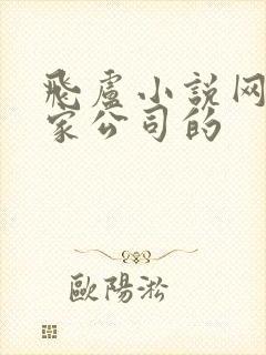 飞卢小说网是哪家公司的