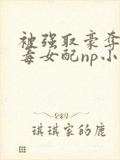 被强取豪夺的恶毒女配np小说在线阅读