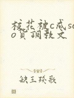 校花被c成sao货调教文