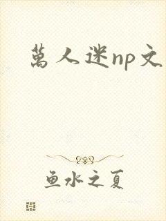 万人迷np文h
