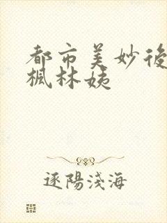 都市美妙后宫唐枫林姨