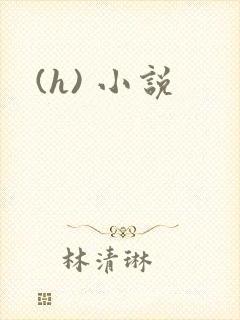(h) 小说