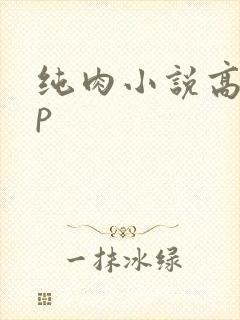 纯肉小说高hnp