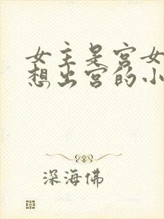 女主是宫女一心想出宫的小说封面