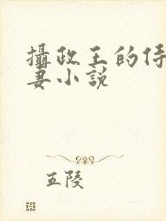 摄政王的侍爱逃妻小说