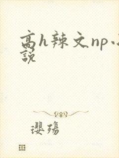 高h辣文np小说