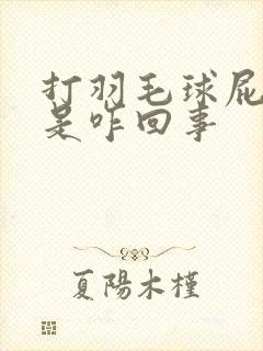 打羽毛球屁股疼是咋回事封面