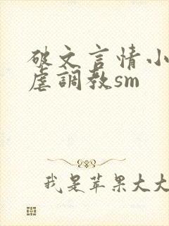 破文言情小说性虐调教sm