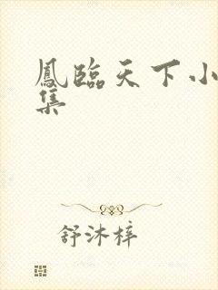 凤临天下小说全集