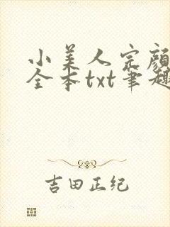 小美人完颜无泪全本txt笔趣阁封面
